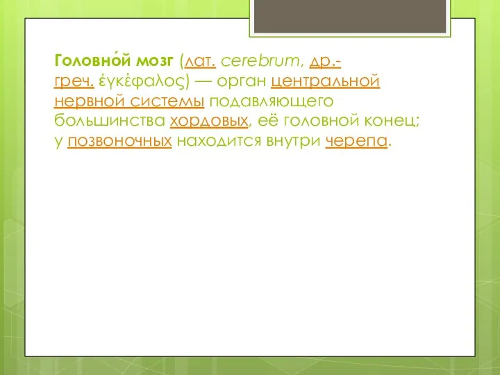 Головно́й мозг (лат. cerebrum, др.-греч. ἐγκέφαλος) — орган центральной нервной системы