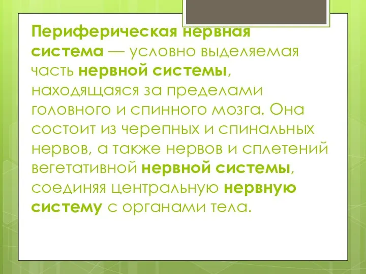 Периферическая нервная система — условно выделяемая часть нервной системы, находящаяся за