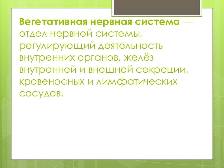 Вегетативная нервная система — отдел нервной системы, регулирующий деятельность внутренних органов,