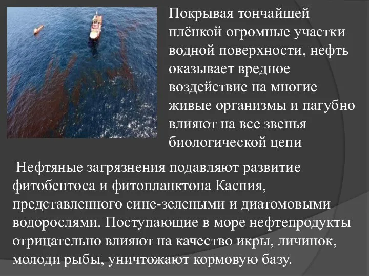 Покрывая тончайшей плёнкой огромные участки водной поверхности, нефть оказывает вредное воздействие