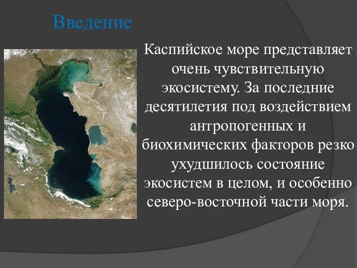 Каспийское море представляет очень чувствительную экосистему. За последние десятилетия под воздействием