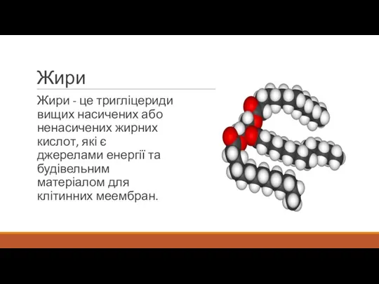 Жири Жири - це тригліцериди вищих насичених або ненасичених жирних кислот,