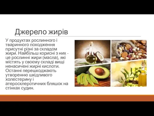 Джерело жирів У продуктах рослинного і тваринного походження присутні різні за