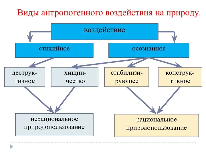 Виды антропогенного воздействия на природу. стихийное осознанное воздействие деструк-тивное хищни-чество стабилизи-рующее