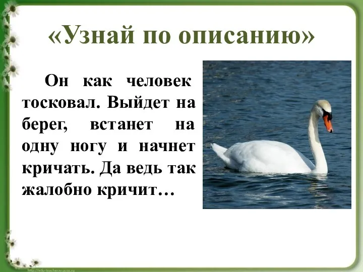 «Узнай по описанию» Он как человек тосковал. Выйдет на берег, встанет