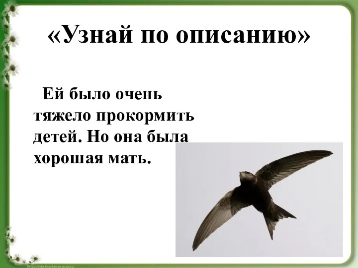 «Узнай по описанию» Ей было очень тяжело прокормить детей. Но она была хорошая мать.