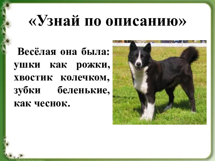 «Узнай по описанию» Весёлая она была: ушки как рожки, хвостик колечком, зубки беленькие, как чеснок.