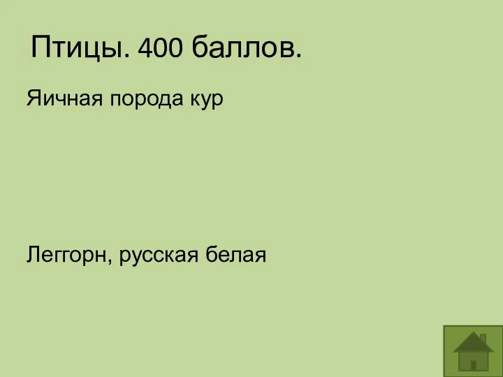 Птицы. 400 баллов. Яичная порода кур Леггорн, русская белая