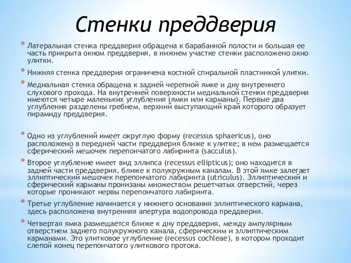 Латеральная стенка преддверия обращена к барабанной полости и большая ее часть