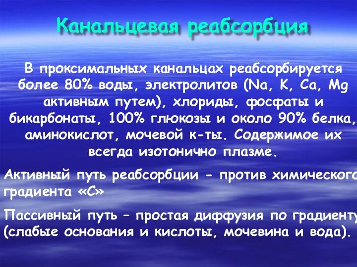 Канальцевая реабсорбция В проксимальных канальцах реабсорбируется более 80% воды, электролитов (Na,