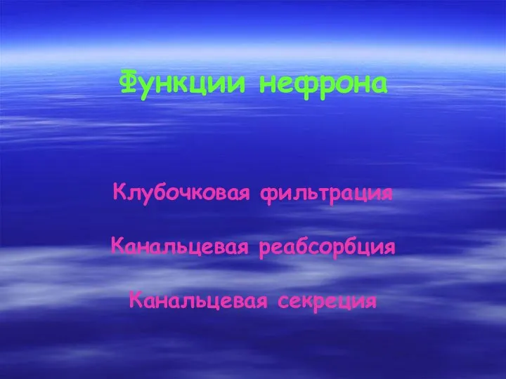 Функции нефрона Клубочковая фильтрация Канальцевая реабсорбция Канальцевая секреция