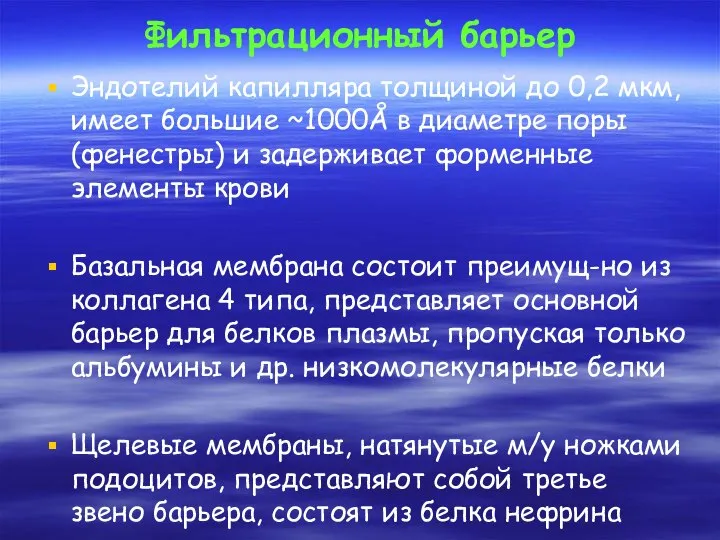 Фильтрационный барьер Эндотелий капилляра толщиной до 0,2 мкм, имеет большие ~1000Å