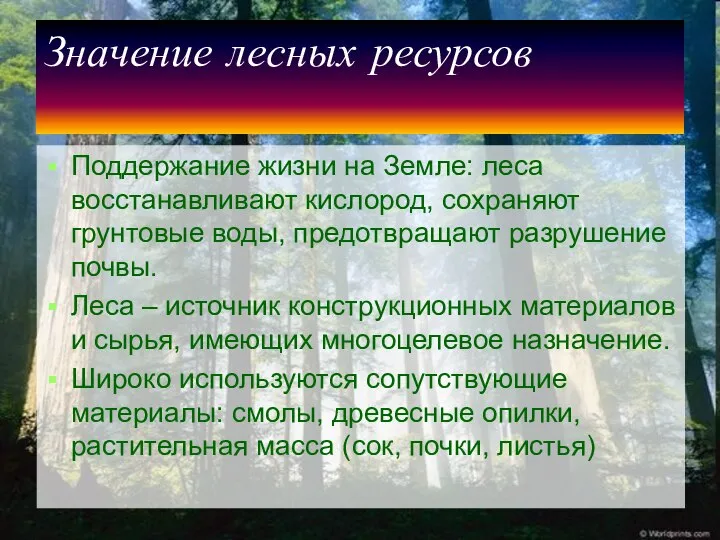 Значение лесных ресурсов Поддержание жизни на Земле: леса восстанавливают кислород, сохраняют