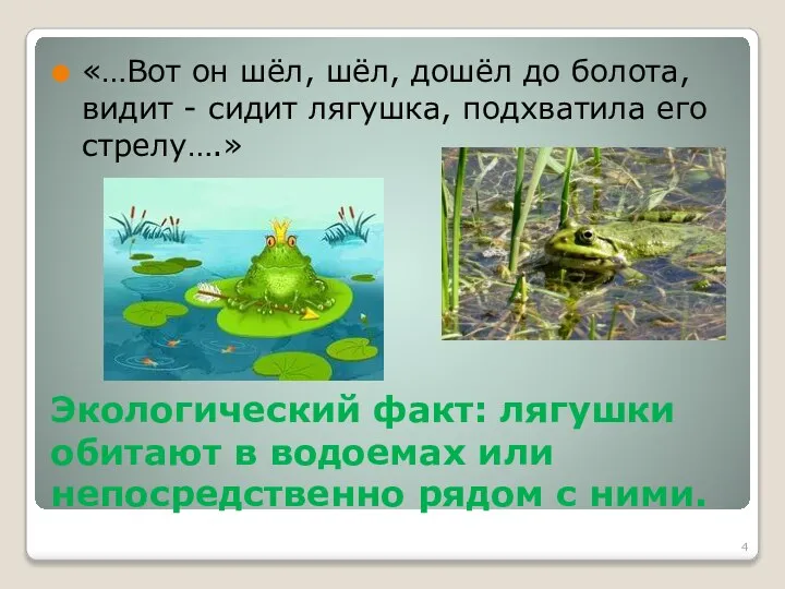 Экологический факт: лягушки обитают в водоемах или непосредственно рядом с ними.
