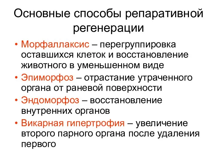 Основные способы репаративной регенерации Морфаллаксис – перегруппировка оставшихся клеток и восстановление