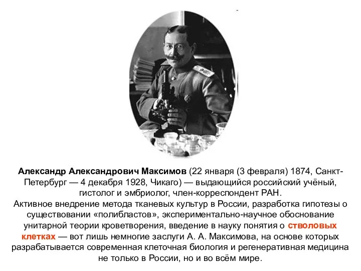 Александр Александрович Максимов (22 января (3 февраля) 1874, Санкт-Петербург — 4