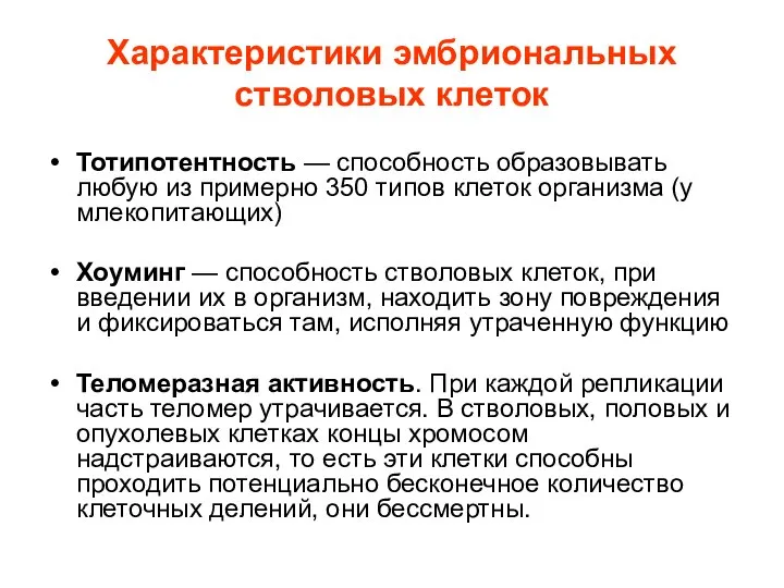 Характеристики эмбриональных стволовых клеток Тотипотентность — способность образовывать любую из примерно