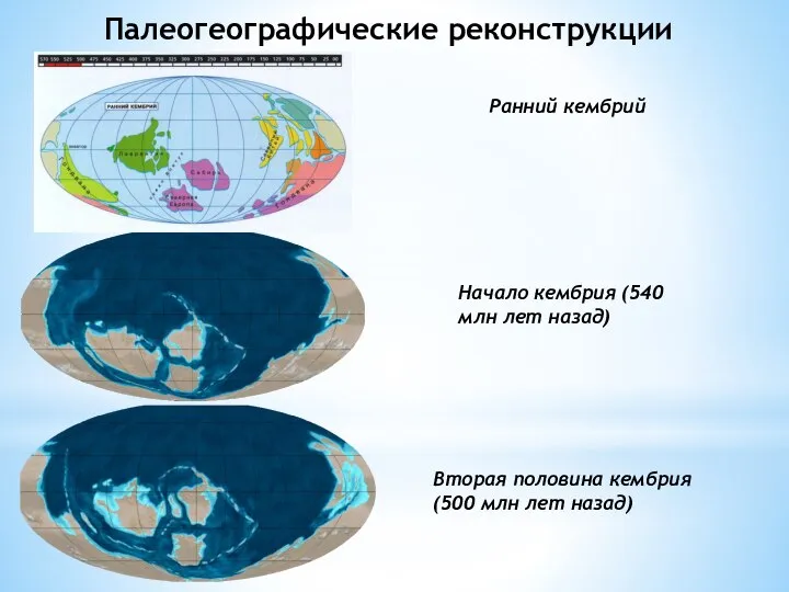 Палеогеографические реконструкции Начало кембрия (540 млн лет назад) Вторая половина кембрия