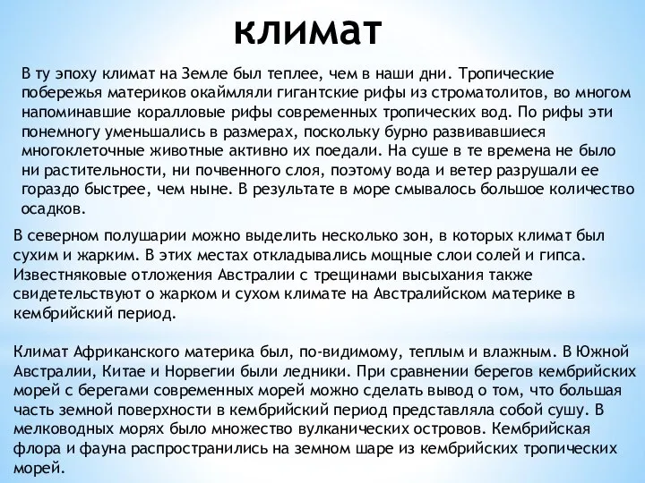 В ту эпоху климат на Земле был теплее, чем в наши