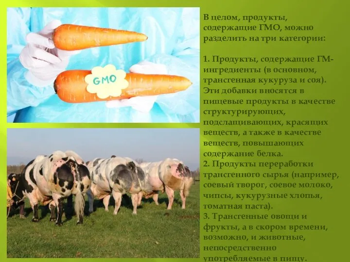 В целом, продукты, содержащие ГМО, можно разделить на три категории: 1.