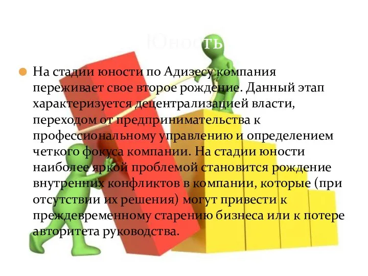 На стадии юности по Адизесу компания переживает свое второе рождение. Данный