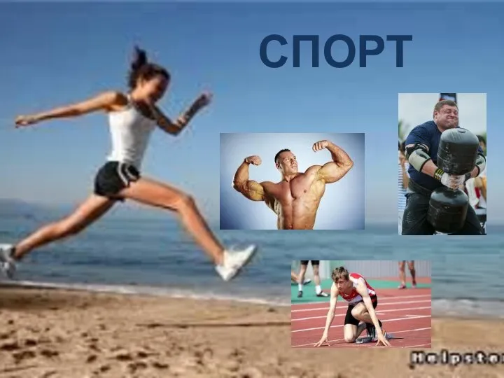 Спорт