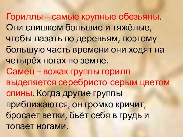 Гориллы – самые крупные обезьяны. Они слишком большие и тяжёлые, чтобы