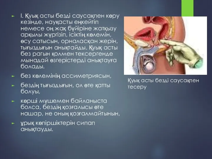 І. Қуық асты безді саусақпен көру кезінде, науқасты еңкейтіп немесе оң