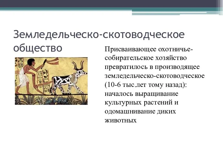 Земледельческо-скотоводческое общество Присваивающее охотничье-собирательское хозяйство превратилось в производящее земледельческо-скотоводческое (10-6 тыс.лет