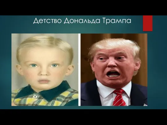 Детство Дональда Трампа