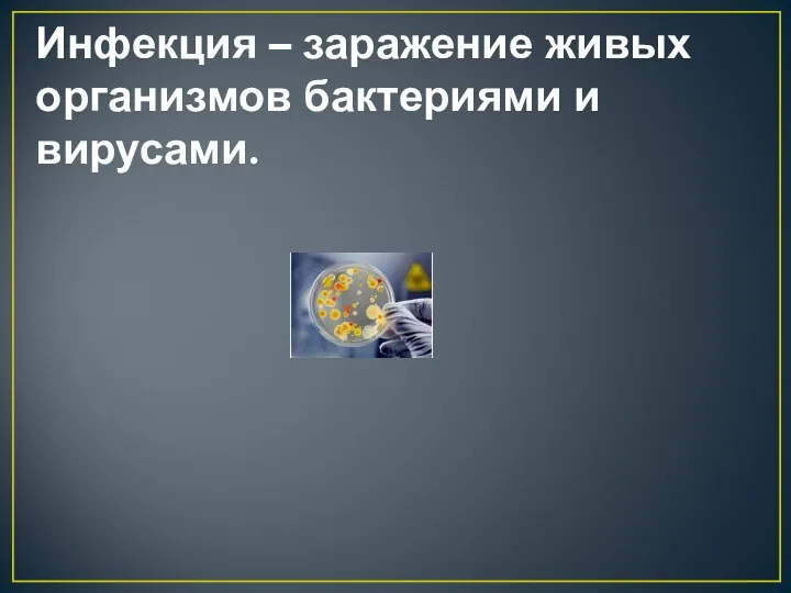 Инфекция – заражение живых организмов бактериями и вирусами.