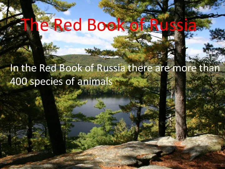 The Red Book of Russia In the Red Book of Russia