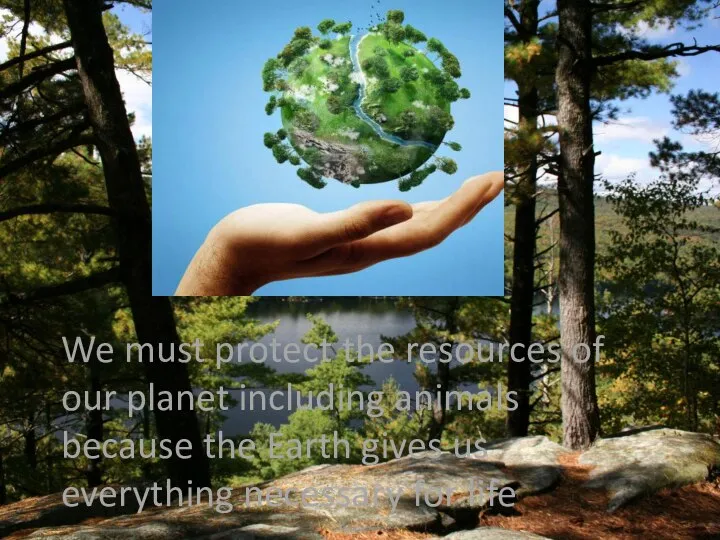 We must protect the resources of our planet including animals because