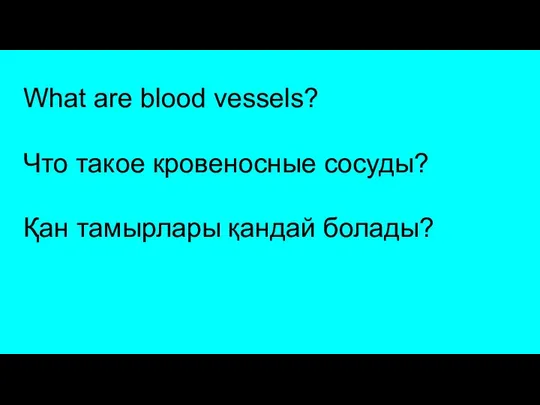 What are blood vessels? Что такое кровеносные сосуды? Қан тамырлары қандай болады?