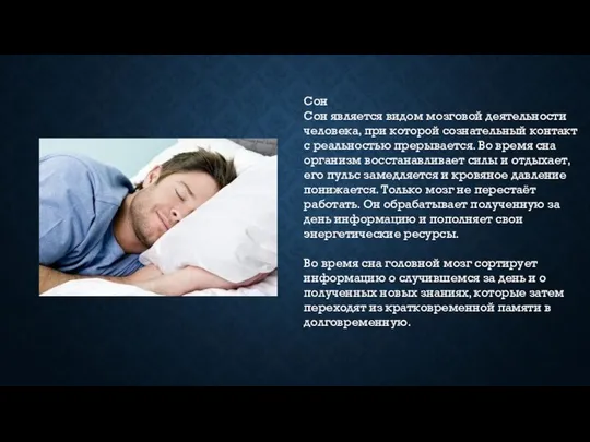 Сон Сон является видом мозговой деятельности человека, при которой сознательный контакт