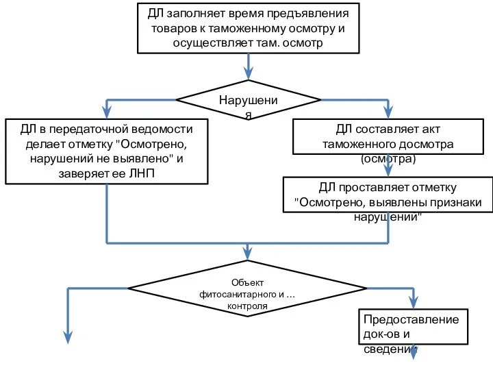 ДЛ заполняет время предъявления товаров к таможенному осмотру и осуществляет там.