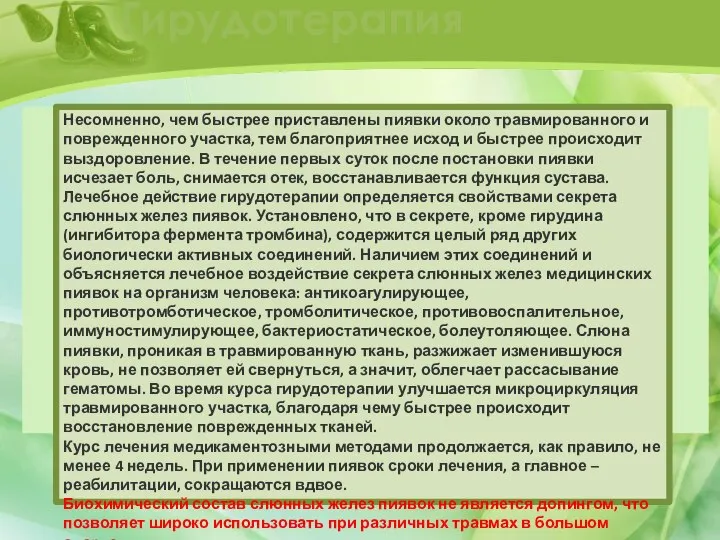 Гирудотерапия Несомненно, чем быстрее приставлены пиявки около травмированного и поврежденного участка,