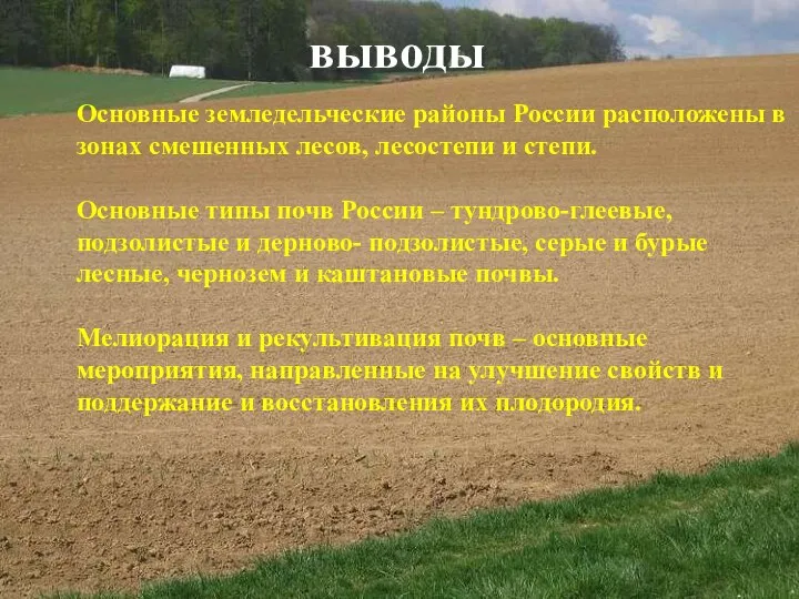 выводы Основные земледельческие районы России расположены в зонах смешенных лесов, лесостепи