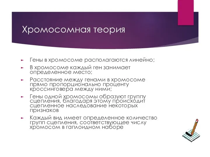 Хромосомная теория Гены в хромосоме располагаются линейно; В хромосоме каждый ген