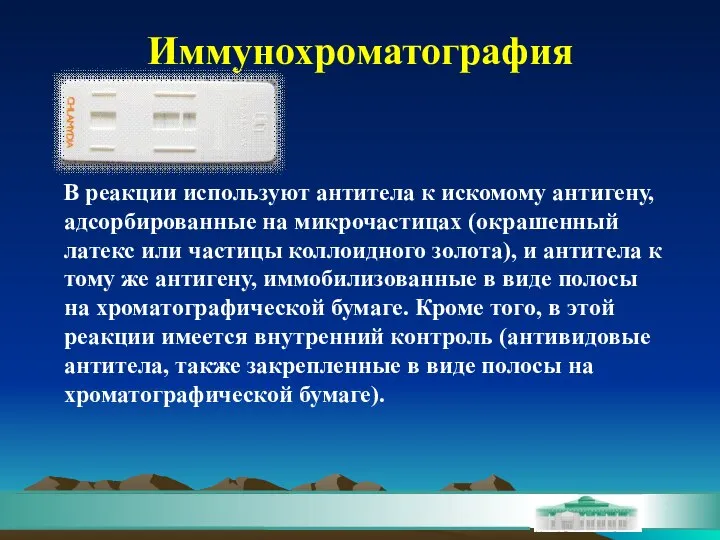 Иммунохроматография В реакции используют антитела к искомому антигену, адсорбированные на микрочастицах