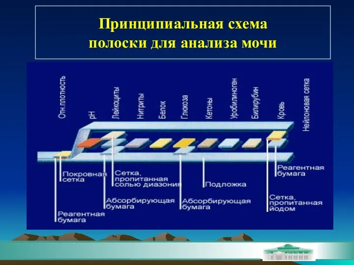 Принципиальная схема полоски для анализа мочи