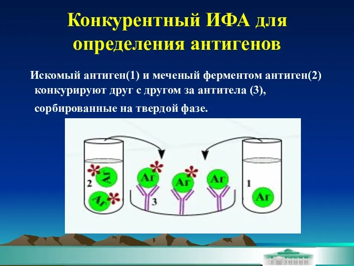 Конкурентный ИФА для определения антигенов Искомый антиген(1) и меченый ферментом антиген(2)