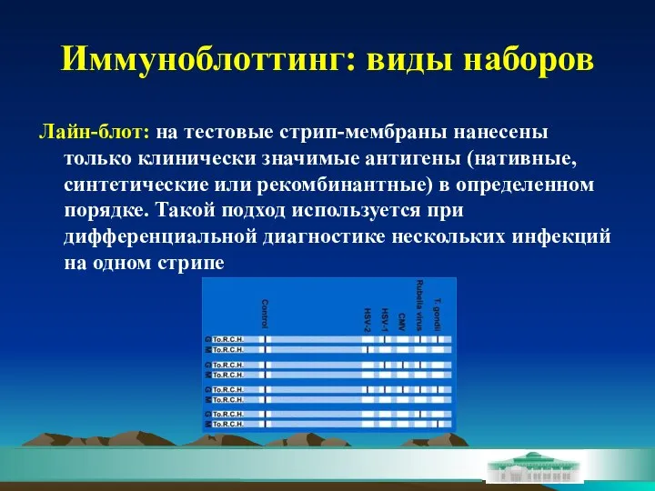 Иммуноблоттинг: виды наборов Лайн-блот: на тестовые стрип-мембраны нанесены только клинически значимые