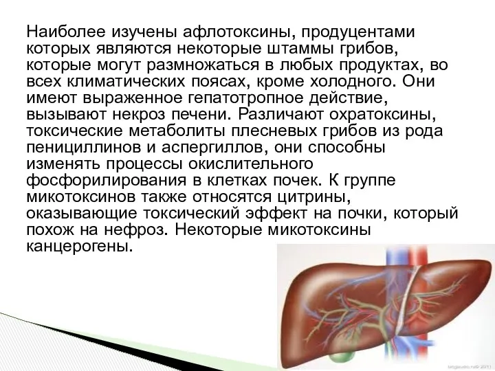 Наиболее изучены афлотоксины, продуцентами которых являются некоторые штаммы грибов, которые могут