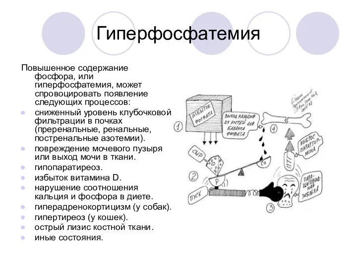 Гиперфосфатемия Повышенное содержание фосфора, или гиперфосфатемия, может спровоцировать появление следующих процессов: