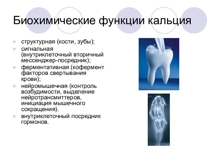 Биохимические функции кальция структурная (кости, зубы); сигнальная (внутриклеточный вторичный мессенджер-посредник); ферментативная