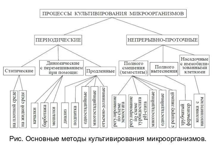 Рис. Основные методы культивирования микроорганизмов.