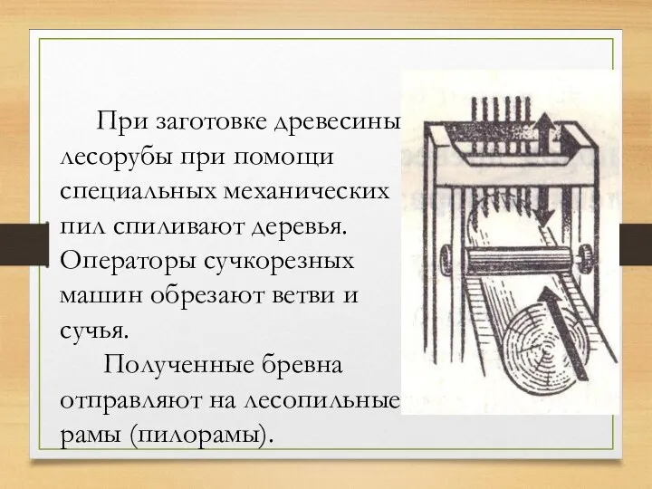 При заготовке древесины лесорубы при помощи специальных механических пил спиливают деревья.