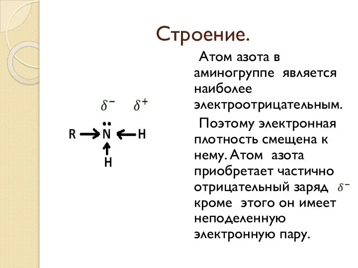 Строение. Атом азота в аминогруппе является наиболее электроотрицательным. Поэтому электронная плотность