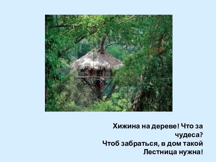 Хижина на дереве! Что за чудеса? Чтоб забраться, в дом такой Лестница нужна!